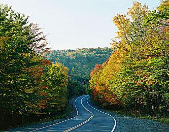 《超级马里奥：惊奇》媒体预览收获好评如潮：创意新奇